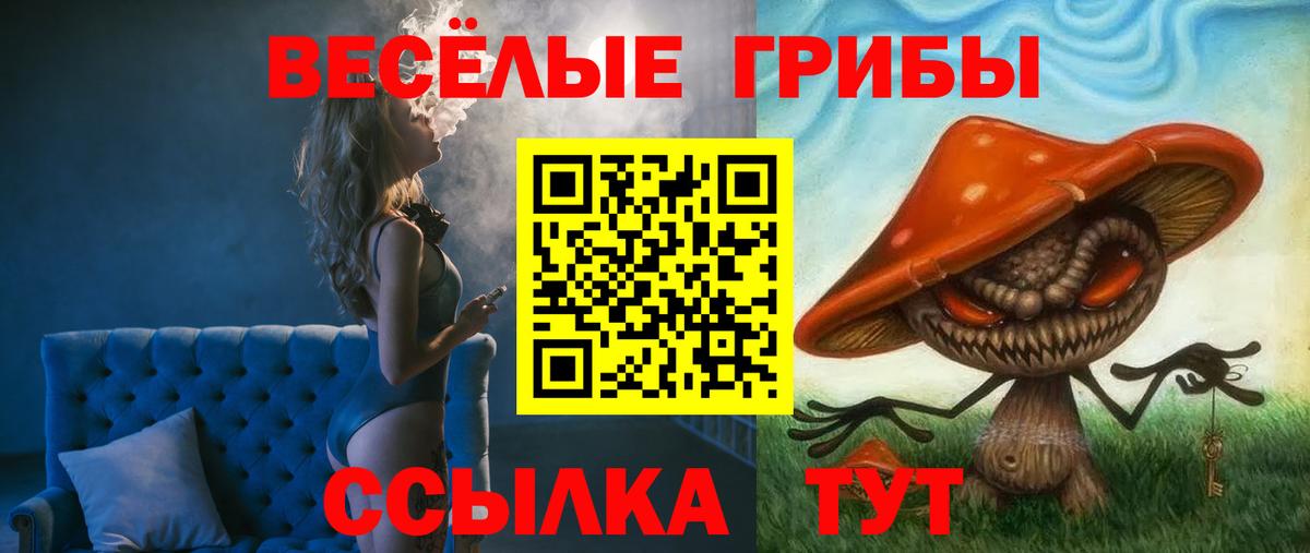 Карпинск  Галлюциногенные грибы Magic Shrooms  Вход с VPN 